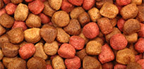 Pet Food