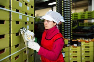 lot traceability problems and solutions