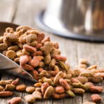 common recall risks in pet food processing