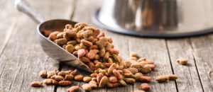 common recall risks in pet food processing