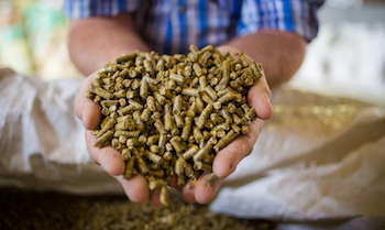 Animal Feed Pellet Coating: Problems and Solutions | APEC USA