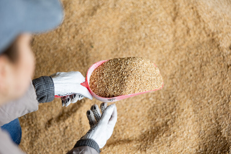 Female farm employee scooping soybean hulls