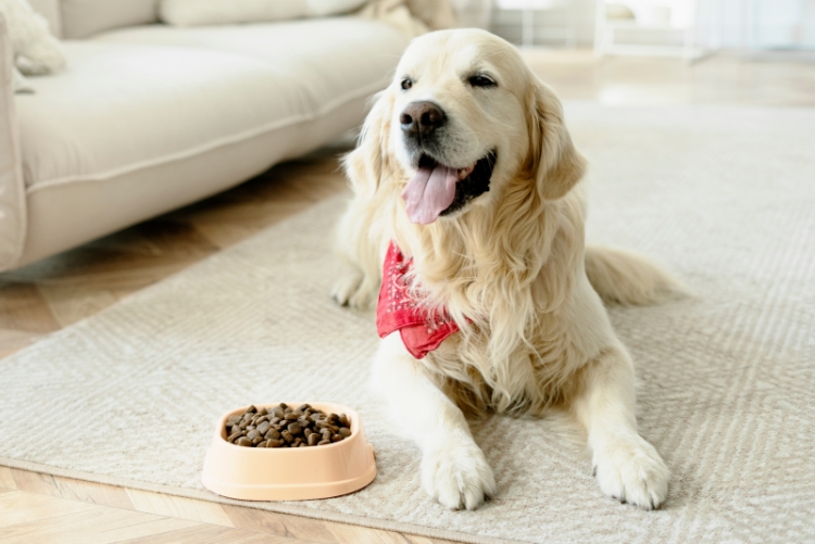 2024 pet food processing trends