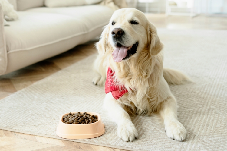 2024 pet food processing trends