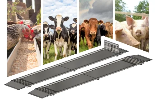 APEC vehicle disinfectant station for agricultural biosecurity