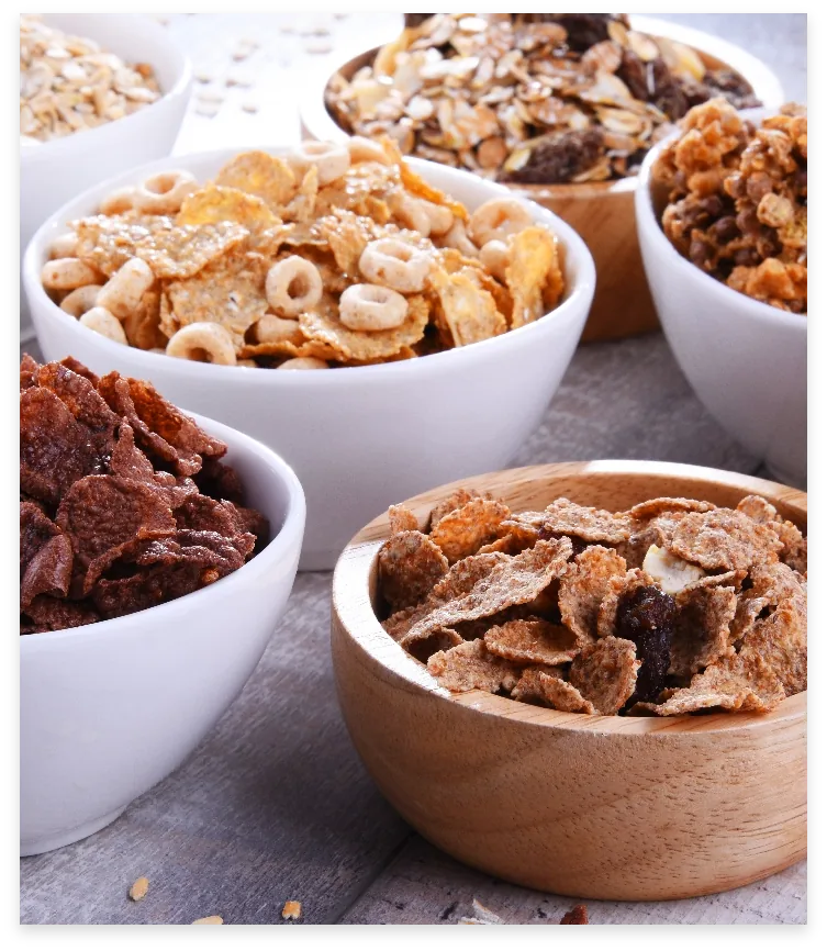 Assorted breakfast cereals and grain-based snacks in bowls for food processing