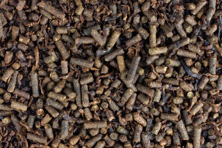 Close-up of molasses-coated animal feed pellets